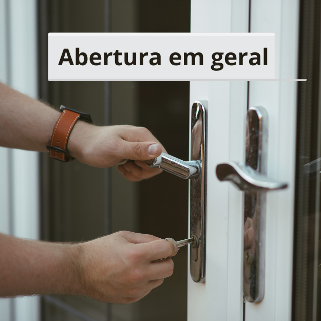 Texto do seu parágrafo (2)